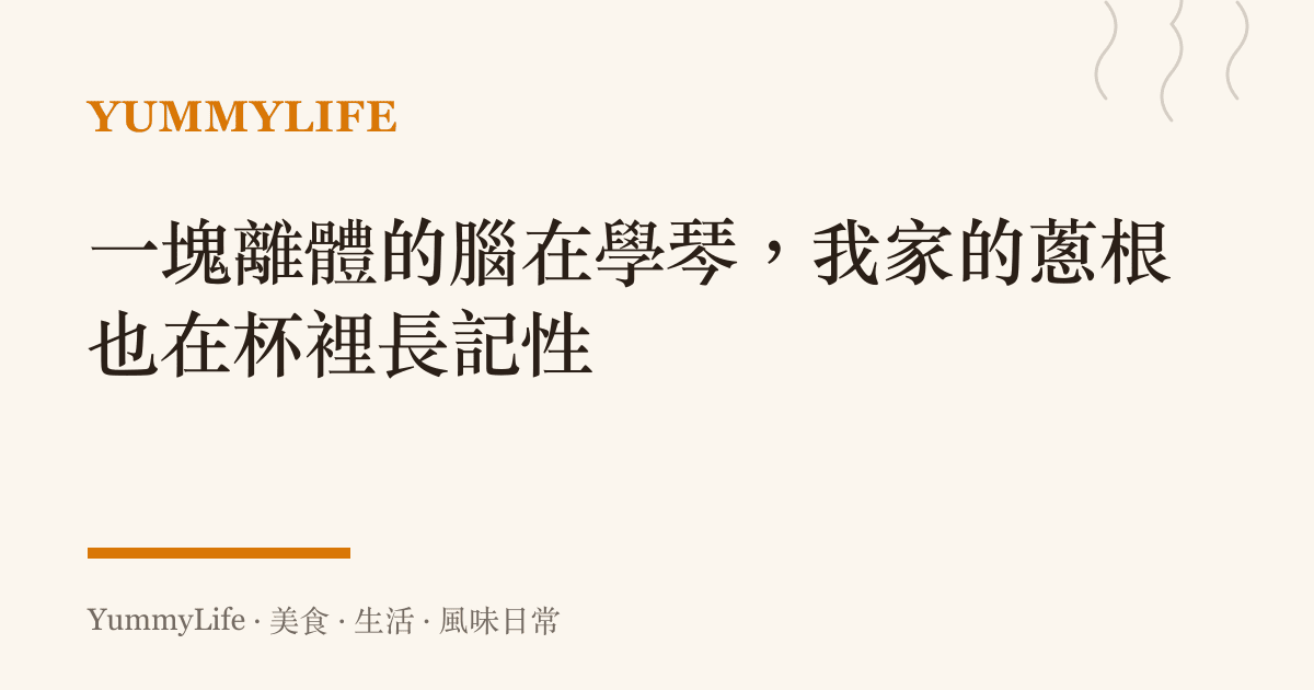 一塊離體的腦在學琴,我家的蔥根也在杯裡長記性