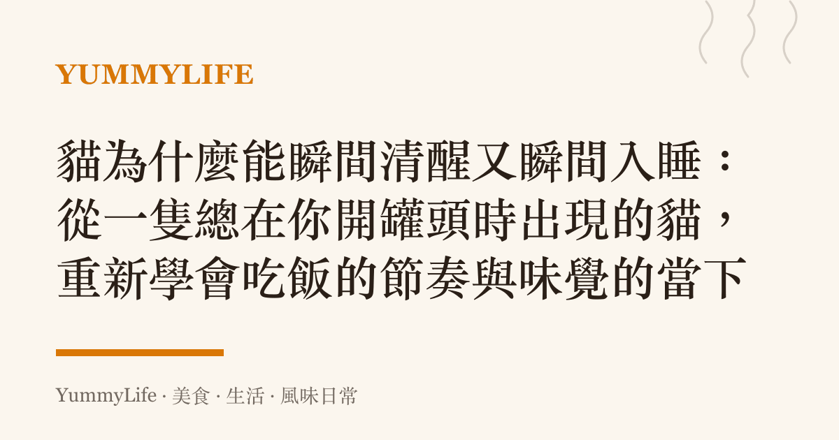 貓為什麼能瞬間清醒又瞬間入睡:從一隻總在你開罐頭時出現的貓,重新學會喫飯的節奏與味覺的當下
