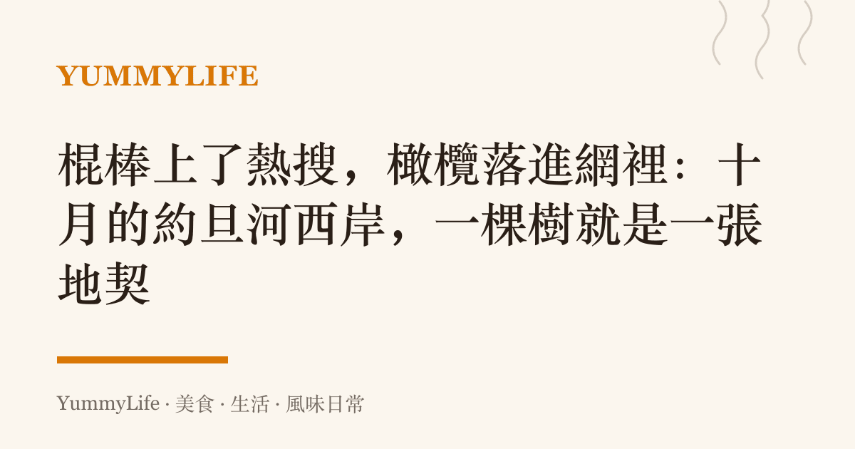 棍棒上了熱搜,橄欖落進網裡:十月的約旦河西岸,一棵樹就是一張地契