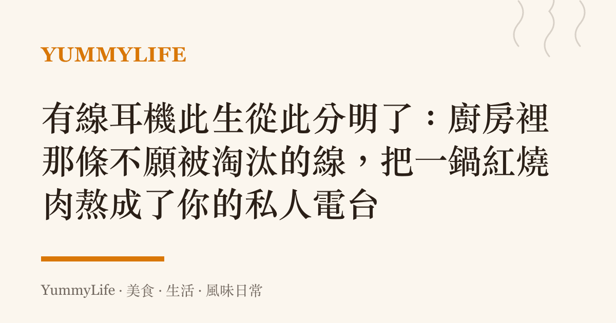 有線耳機此生從此分明了:廚房裡那條不願被淘汰的線,把一鍋紅燒肉熬成了你的私人電臺