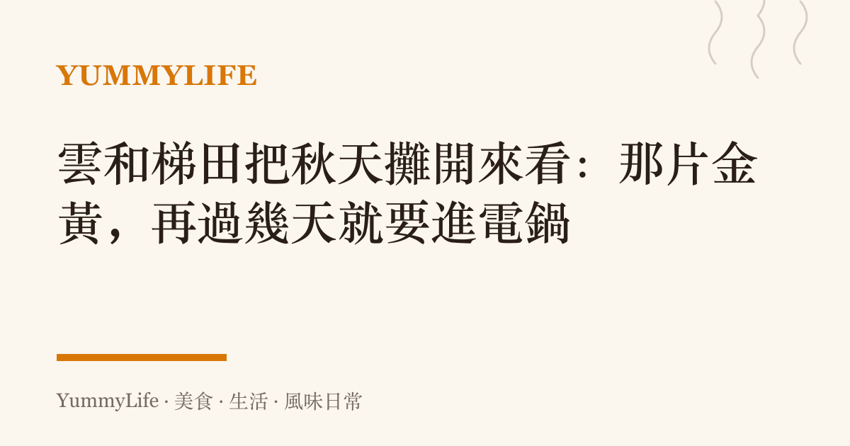 雲和梯田把秋天攤開來看：那片金黃，再過幾天就要進電鍋