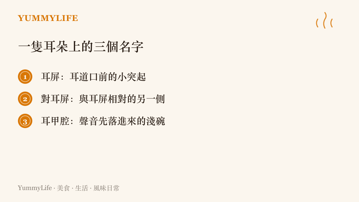 圖卡列舉耳屏、對耳屏與耳甲腔三個耳部構造的位置，並把耳甲腔比喻成聲音先落入的淺碗