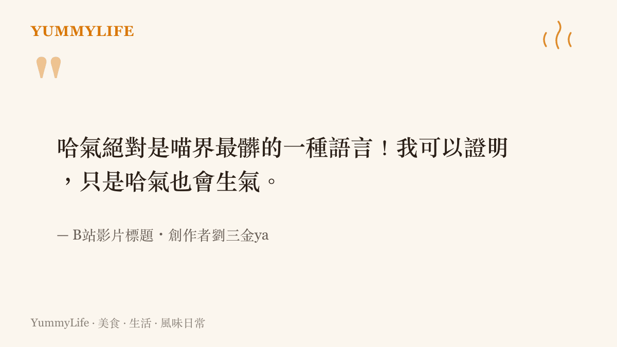 引言圖卡摘錄B站創作者劉三金ya的影片標題，直指哈氣是貓界最兇的一種語言