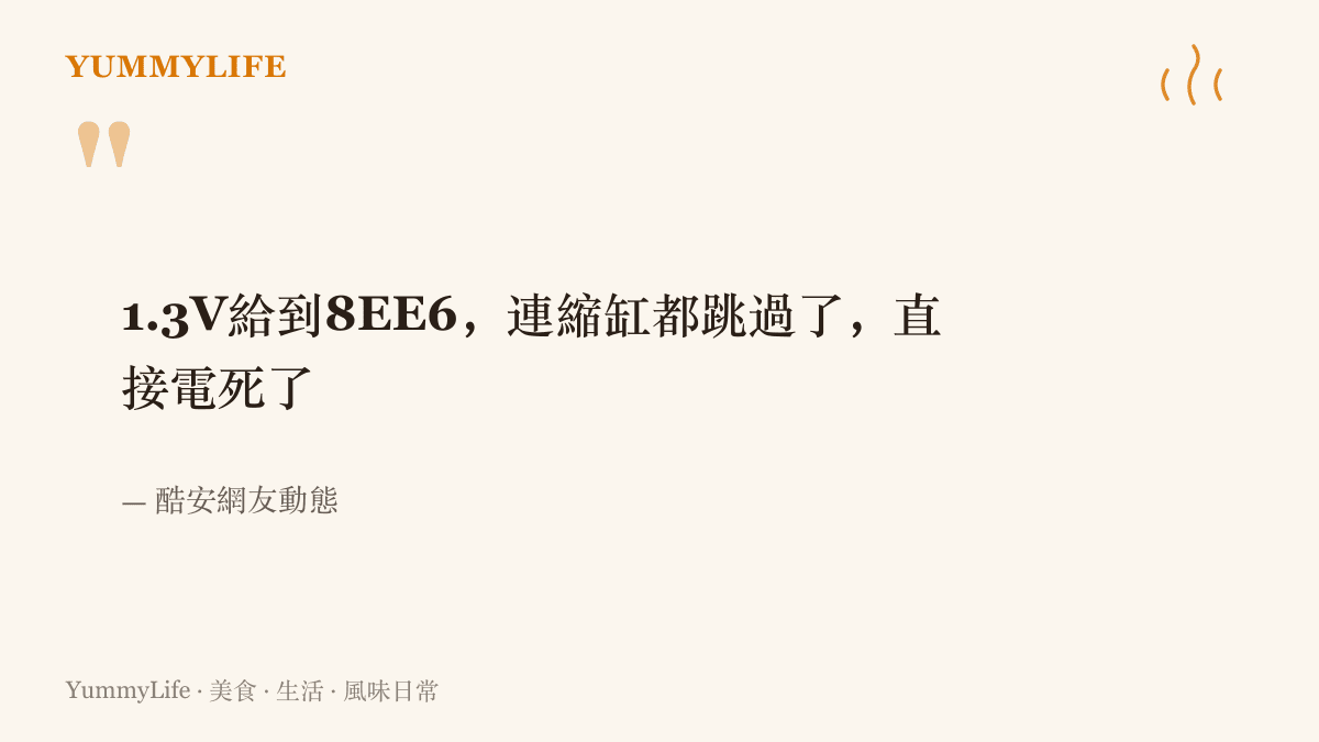 引述酷安玩家的動態原文，形容晶片被灌進一點三伏特後省去慢性衰退的過程、當場斷氣的經過