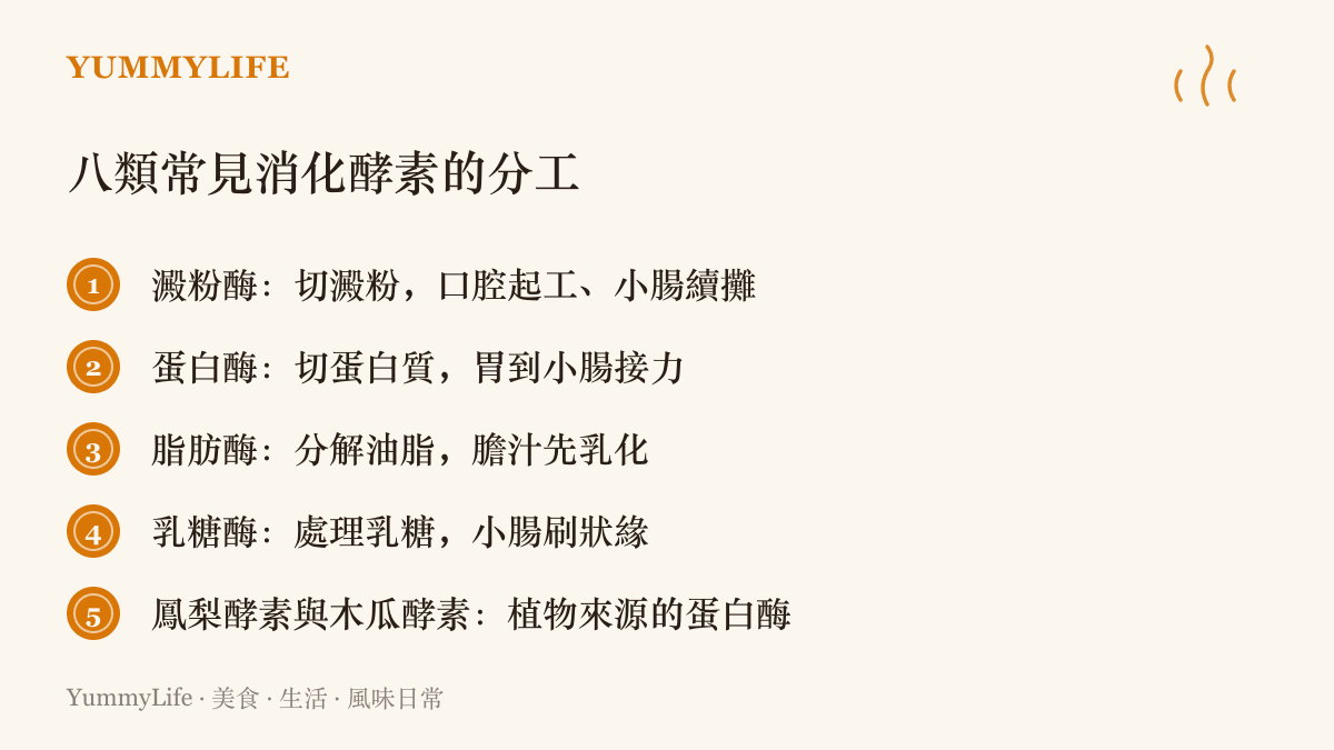 清單圖卡列出八類常見消化酵素的分工，包含澱粉酶切澱粉、蛋白酶切蛋白質、脂肪酶分解油脂、乳糖酶處理乳糖，以及鳳梨與木瓜來源的植物蛋白酶