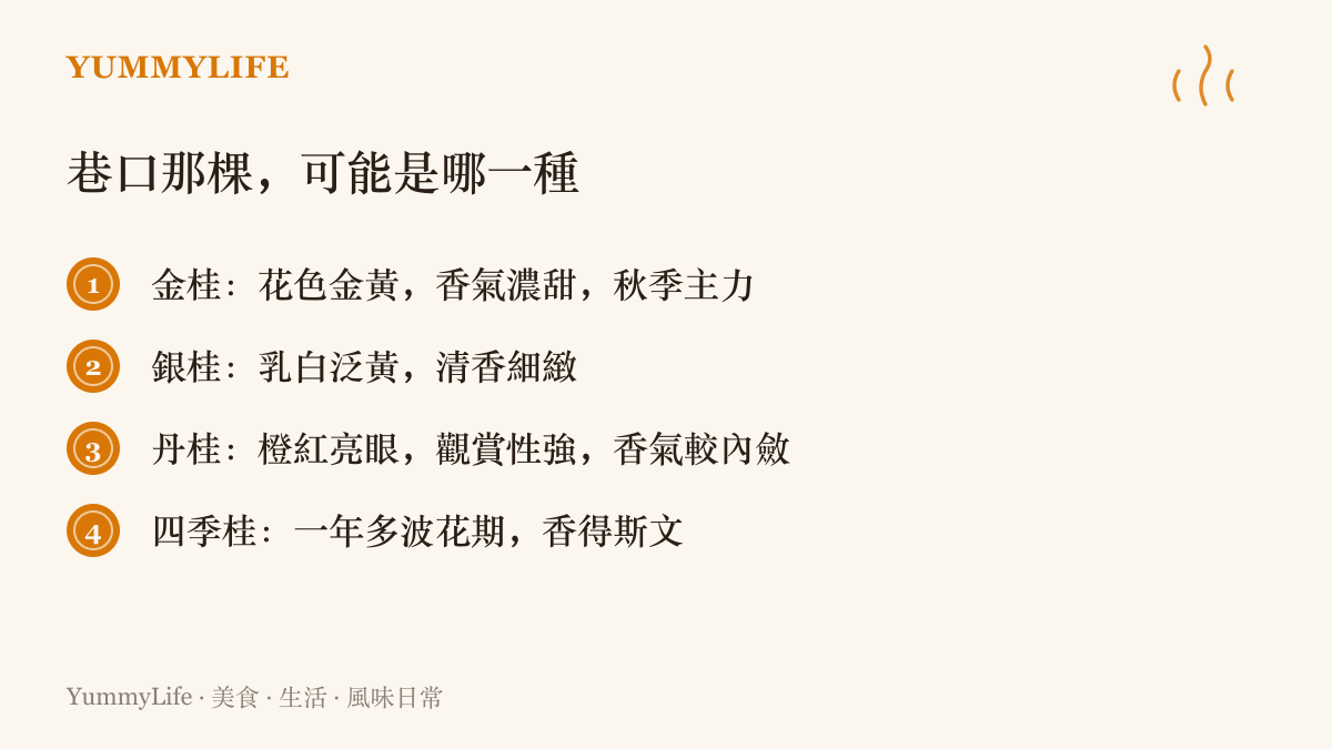 圖卡列出臺灣巷口常見的四種桂花：香氣濃甜的金桂、清雅的銀桂、顏色橙紅但香氣內斂的丹桂，以及一年開好幾輪的四季桂