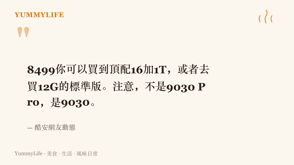 酷安網友的比價留言，指出同一個8499人民幣價位能買到16GB記憶體與1TB儲存的頂配手機，或僅12GB記憶體的非Pro晶片標準版