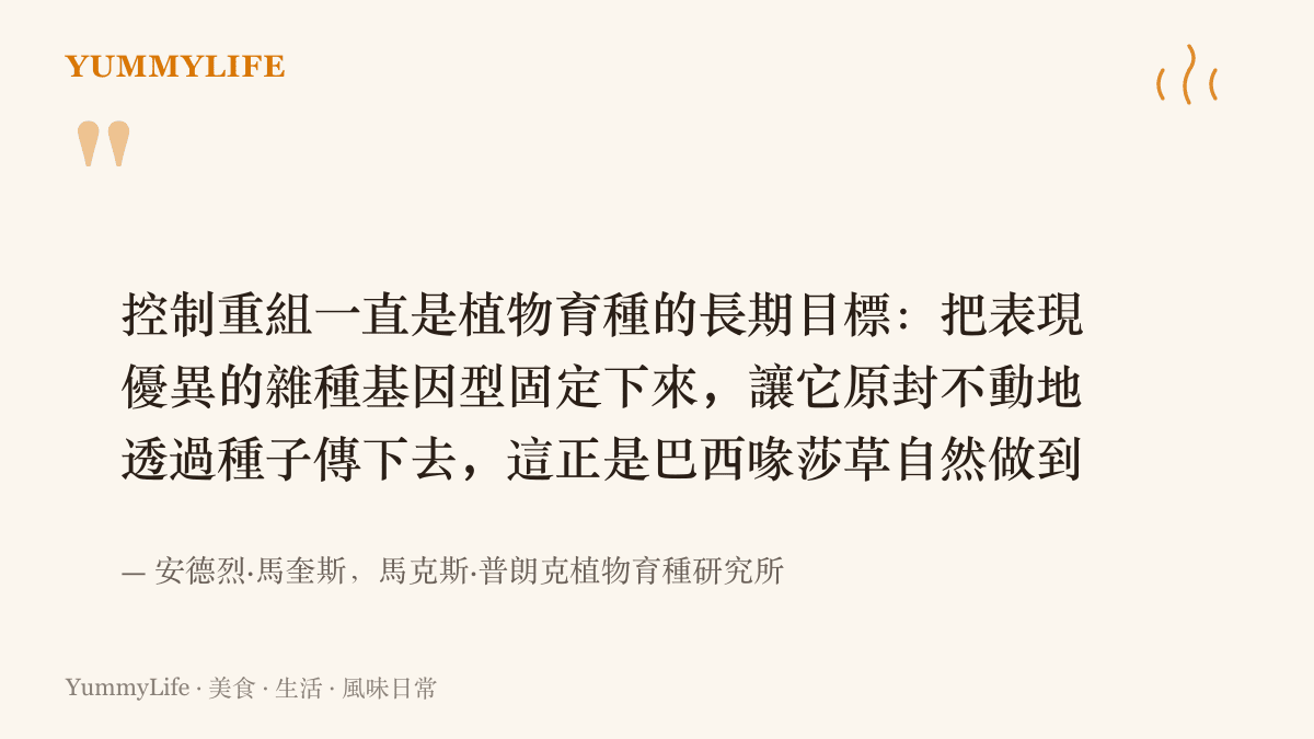 育種學家馬奎斯指出，固定優異雜種基因型並讓種子原封傳遞是植物育種長期追求的目標，而這株莎草已經自然辦到