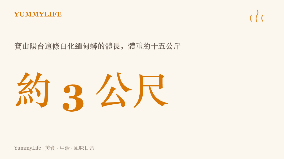統計圖卡呈現上海寶山區大場鎮真華路陽臺上發現的白化緬甸蟒，體長約三公尺、體重約十五公斤