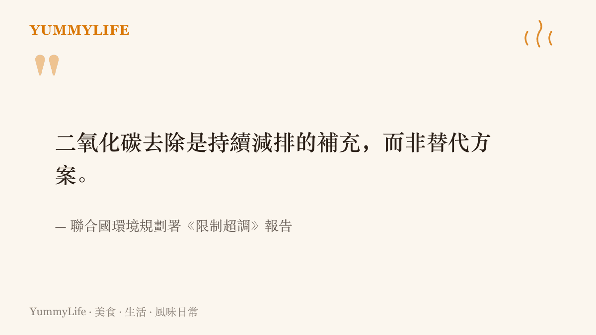 引述《限制超調》報告對二氧化碳去除的定位：碳移除只能作為持續減排的補充，無法取代減排本身。