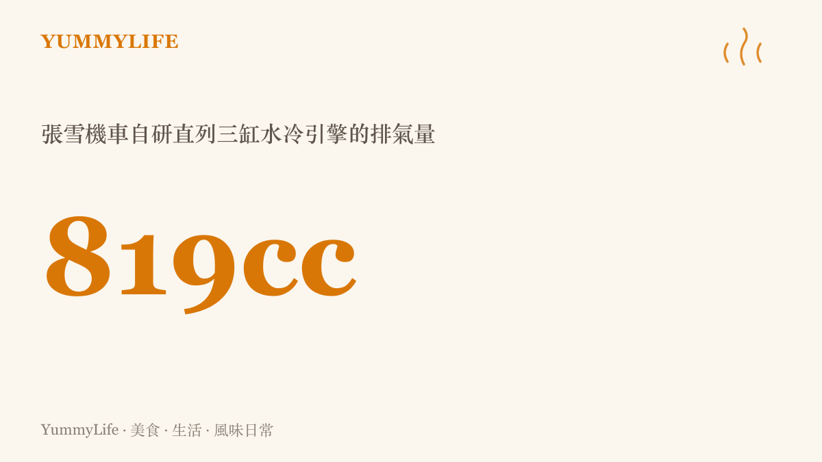 819cc的數字代表張雪機車自主研發直列三缸水冷引擎的排氣量，這顆引擎是從湖南山村走出的創辦人交出的技術成績